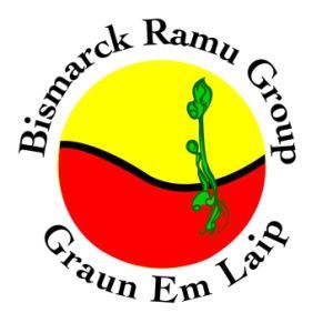 PNG seabed mining project