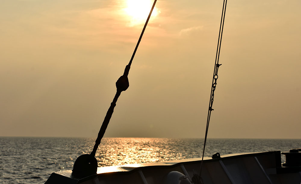 Training Opportunities