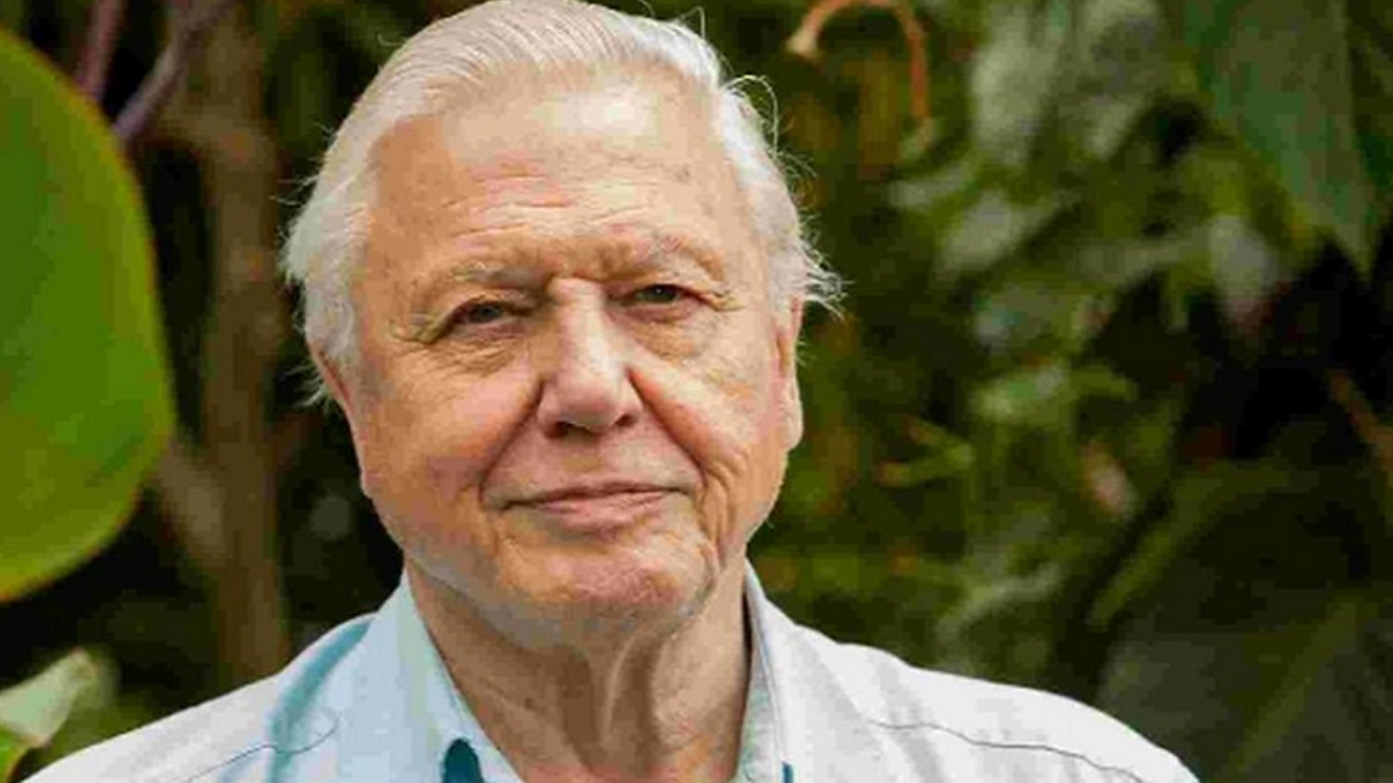 David Attenborough
