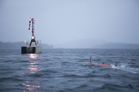 GEBCO-NF Demonstrate AUV-USV Solution for Ocean Surveys