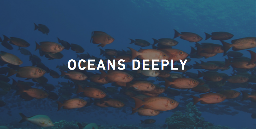 Community Fellow - Oceans Deeply (Spring Semester)