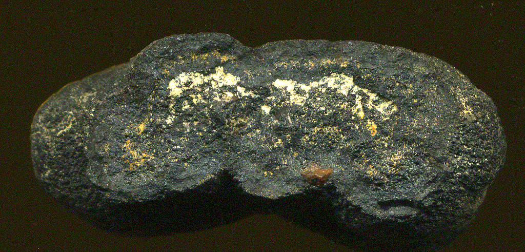 Pelagite (deep seafloor manganese nodule). Courtesy John St. John