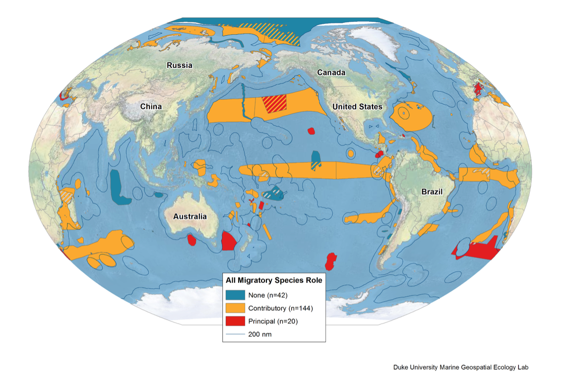 Map Key: Red: 10% of concentrated biodiversity (the most important habitats and feeding grounds for migratory species), Yellow: 70% of biodiversity (areas of importance for migratory species), Deep blue: areas not important for migratory species.