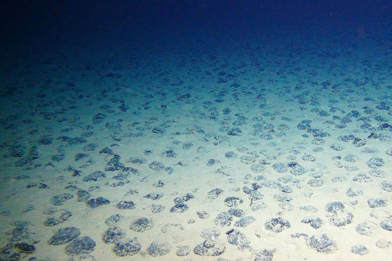 Rare minerals can be found in the Clarion-Clipperton Zone Geomar