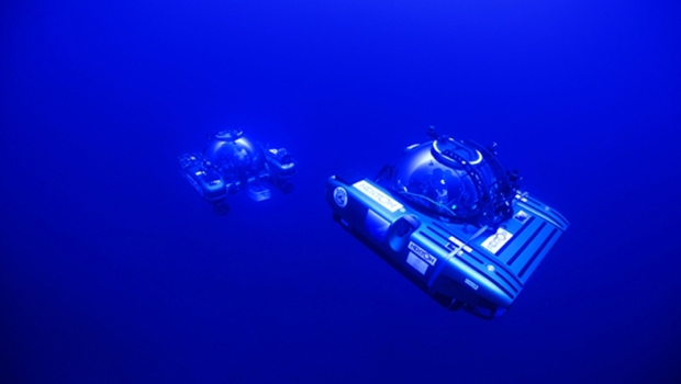 Image credit: Nekton