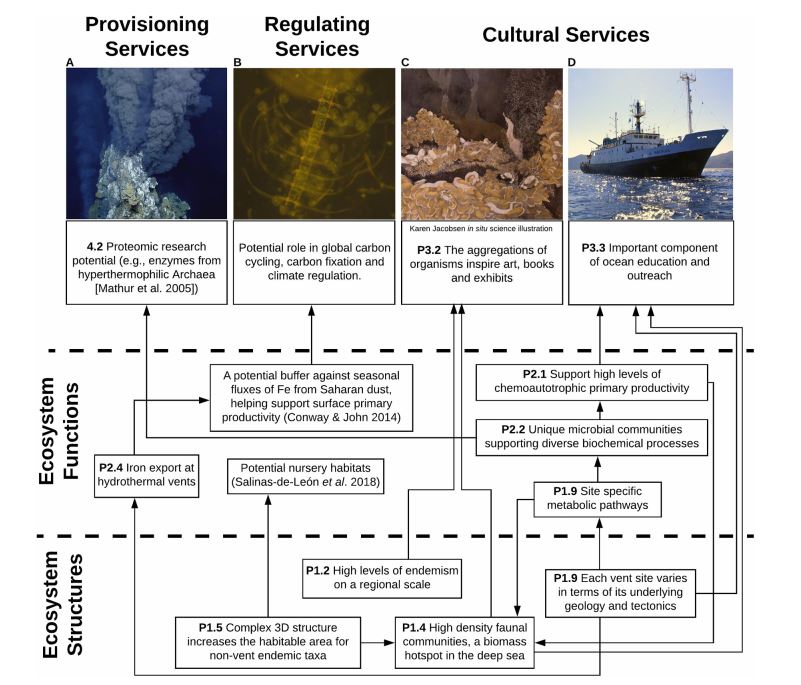 Figure 1. From Turner et al. (2019)