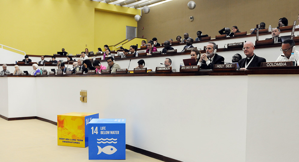Observers during the afternoon session. IISD Reporting Services