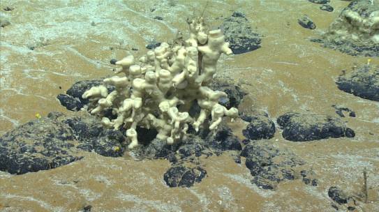 A pivotal moment in the history of deep-sea mining